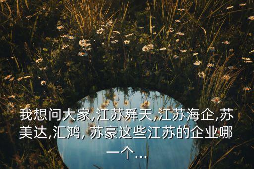 我想問大家,江蘇舜天,江蘇海企,蘇美達(dá),匯鴻, 蘇豪這些江蘇的企業(yè)哪一個(gè)...