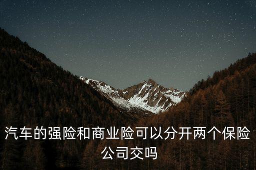 在兩家公司車(chē)險(xiǎn),車(chē)險(xiǎn)買(mǎi)兩家可以嗎