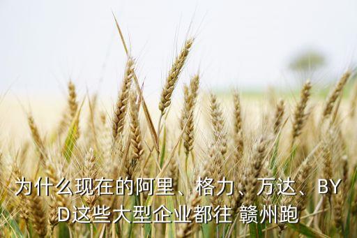 為什么現(xiàn)在的阿里、格力、萬達、BYD這些大型企業(yè)都往 贛州跑