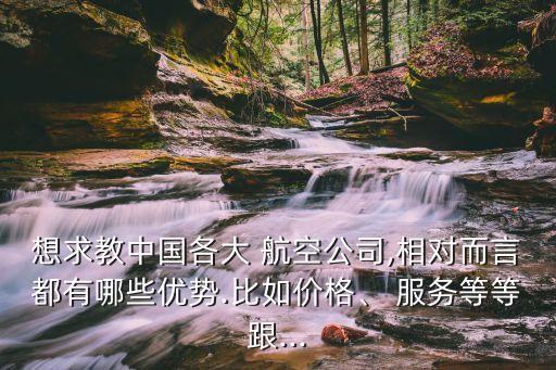 想求教中國(guó)各大 航空公司,相對(duì)而言都有哪些優(yōu)勢(shì).比如價(jià)格、 服務(wù)等等跟...