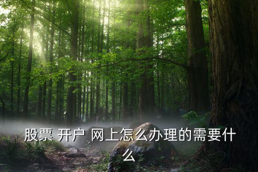  股票 開戶 網上怎么辦理的需要什么