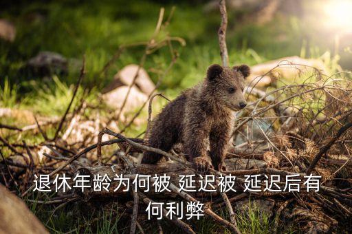 透視中國延遲退休,中國會(huì)不會(huì)延遲退休