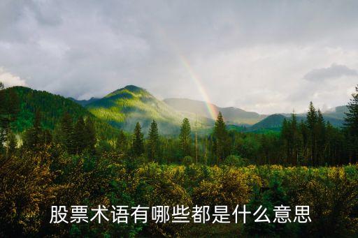 股票術(shù)語(yǔ)有哪些都是什么意思