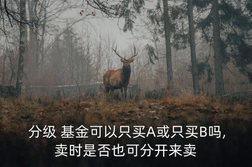  分級(jí) 基金可以只買(mǎi)A或只買(mǎi)B嗎,賣(mài)時(shí)是否也可分開(kāi)來(lái)賣(mài)