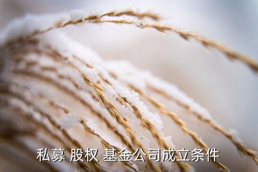 私募 股權 基金公司成立條件