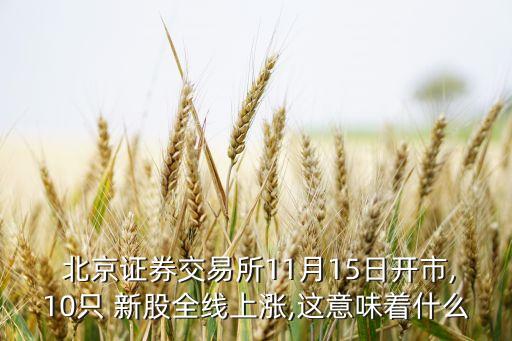  北京證券交易所11月15日開(kāi)市,10只 新股全線上漲,這意味著什么