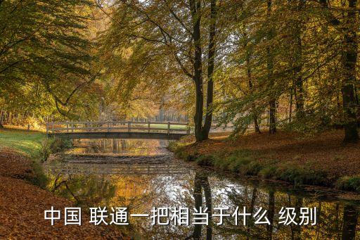 中國(guó) 聯(lián)通一把相當(dāng)于什么 級(jí)別