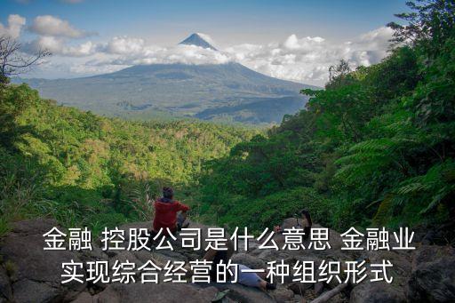  金融 控股公司是什么意思 金融業(yè)實現綜合經營的一種組織形式