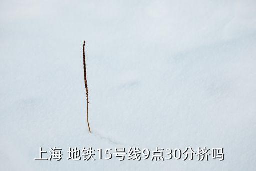  上海 地鐵15號線9點(diǎn)30分?jǐn)D嗎