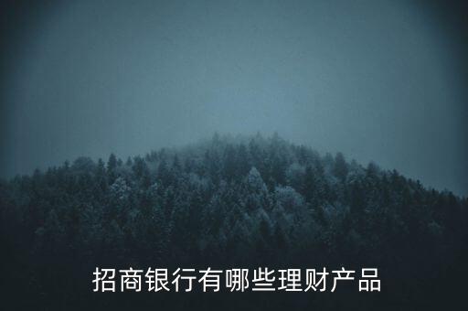  招商銀行有哪些理財產品