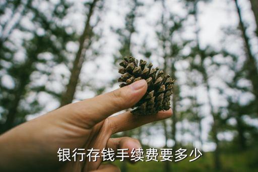  銀行存錢(qián)手續(xù)費(fèi)要多少