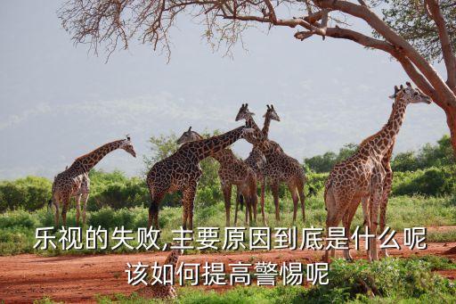 樂視新媒體公司