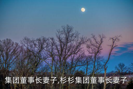 超威集團(tuán)董事長(zhǎng)妻子,杉杉集團(tuán)董事長(zhǎng)妻子