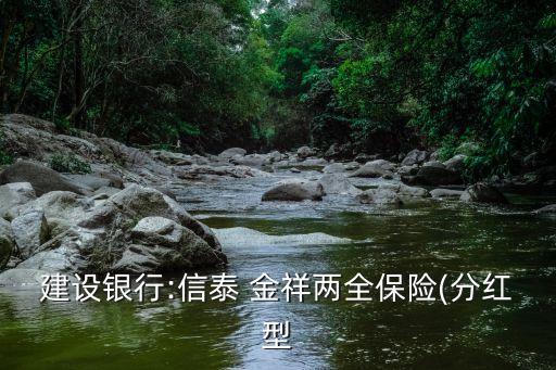 建設(shè)銀行:信泰 金祥兩全保險(xiǎn)(分紅型