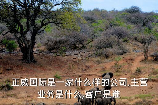  正威國(guó)際是一家什么樣的公司,主營(yíng)業(yè)務(wù)是什么,客戶是誰(shuí)