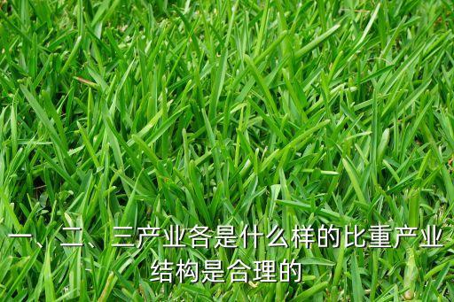 一、二、三產(chǎn)業(yè)各是什么樣的比重產(chǎn)業(yè)結(jié)構(gòu)是合理的