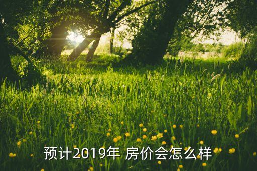 預計2019年 房價會怎么樣