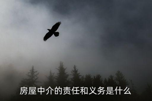 房產經紀公司服務承諾,房優(yōu)優(yōu)房產經紀公司