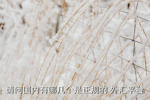 請問國內(nèi)有哪幾個(gè)是正規(guī)的 外匯平臺