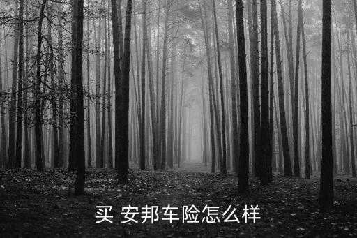 買(mǎi) 安邦車(chē)險(xiǎn)怎么樣