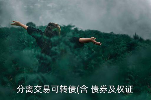 宜興公司債券募集說(shuō)明書摘要