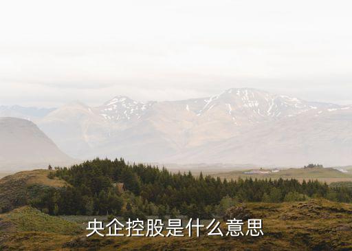 中國核工業(yè)建設集團公司是否上市,核工業(yè)井巷建設集團公司怎么樣
