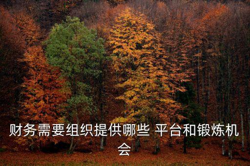 財務需要組織提供哪些 平臺和鍛煉機會