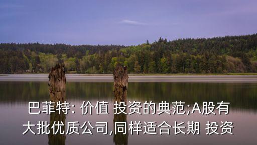 巴菲特: 價值 投資的典范;A股有大批優(yōu)質(zhì)公司,同樣適合長期 投資