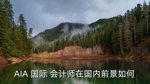 中國國際會計(jì)的進(jìn)展
