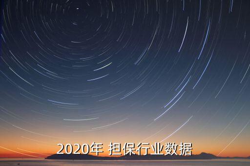 2020年 擔保行業(yè)數據
