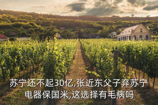 蘇寧還不起30億,張近東父子棄蘇寧電器保國(guó)米,這選擇有毛病嗎