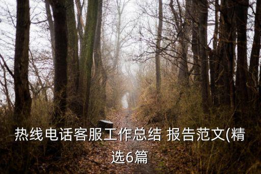 熱線(xiàn)電話(huà)客服工作總結(jié) 報(bào)告范文(精選6篇