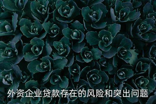 外資企業(yè)貸款存在的風險和突出問題