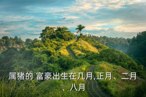 屬豬中國(guó)富豪有誰(shuí),屬兔的中國(guó)富豪