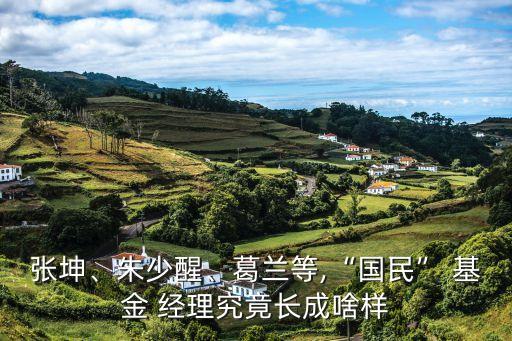 張坤、朱少醒、葛蘭等,“國(guó)民” 基金 經(jīng)理究竟長(zhǎng)成啥樣