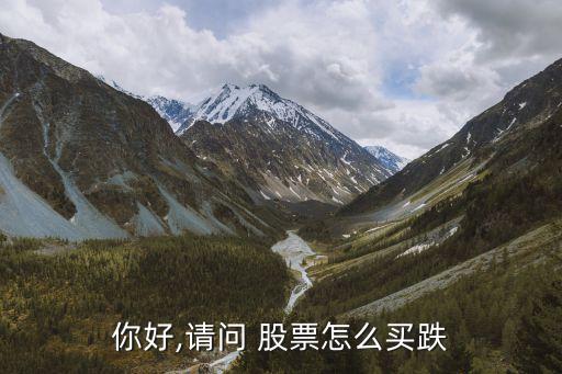 你好,請(qǐng)問(wèn) 股票怎么買(mǎi)跌