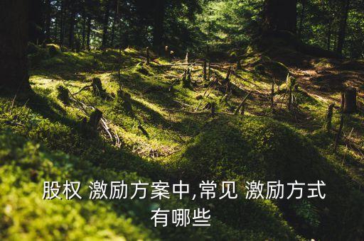 公司內(nèi)部股權(quán)激勵(lì)