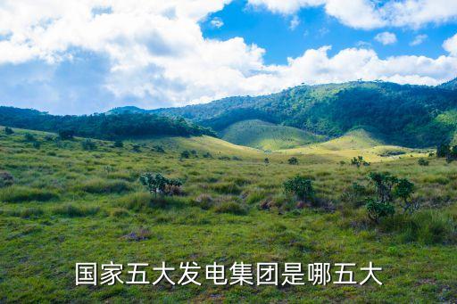 國家五大發(fā)電集團是哪五大