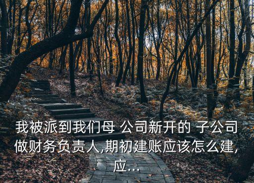 我被派到我們母 公司新開的 子公司做財(cái)務(wù)負(fù)責(zé)人,期初建賬應(yīng)該怎么建,應(yīng)...