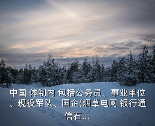 中國 體制內(nèi) 包括公務(wù)員、事業(yè)單位、現(xiàn)役軍隊(duì)、國企(煙草電網(wǎng) 銀行通信石...