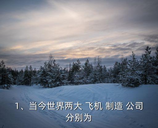 1、當(dāng)今世界兩大 飛機(jī) 制造 公司分別為