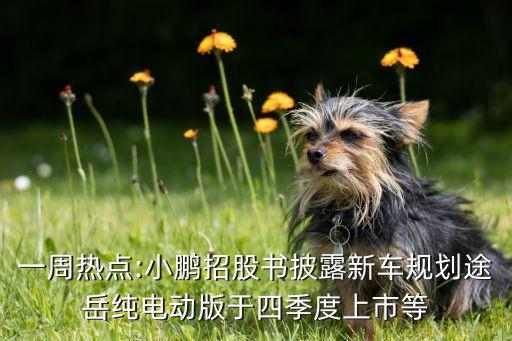 一周熱點(diǎn):小鵬招股書披露新車規(guī)劃途岳純電動版于四季度上市等