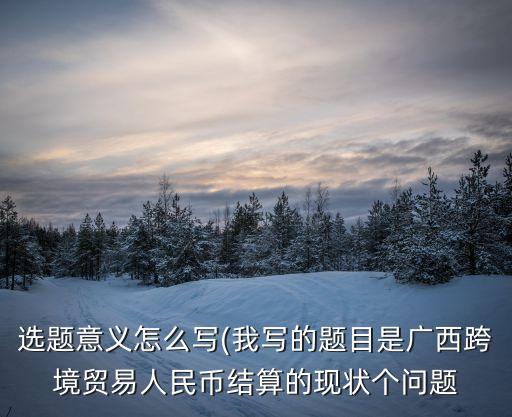 選題意義怎么寫(我寫的題目是廣西跨境貿易人民幣結算的現狀個問題