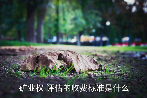 青島衡元德礦業(yè)權(quán)評(píng)估咨詢(xún)有限公司