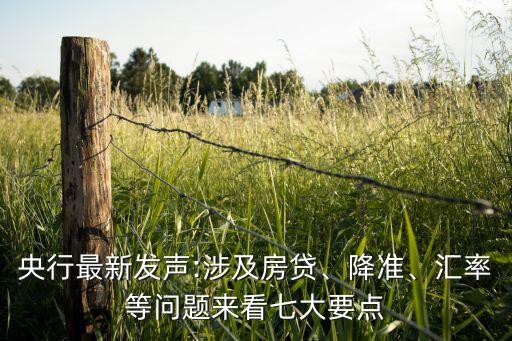 央行最新發(fā)聲:涉及房貸、降準(zhǔn)、匯率等問題來看七大要點