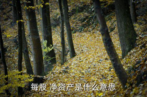 上市公司的凈資產