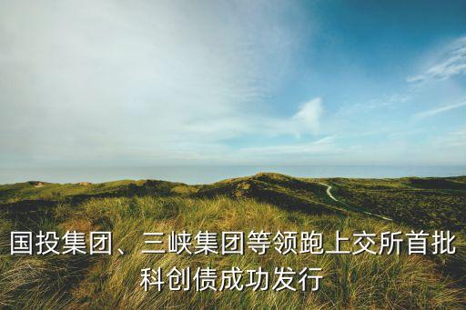 國投集團(tuán)、三峽集團(tuán)等領(lǐng)跑上交所首批科創(chuàng)債成功發(fā)行