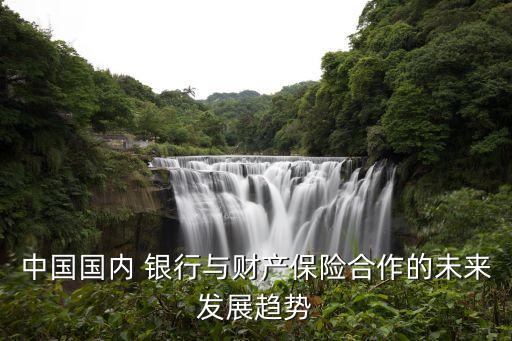 中國(guó)國(guó)內(nèi) 銀行與財(cái)產(chǎn)保險(xiǎn)合作的未來發(fā)展趨勢(shì)