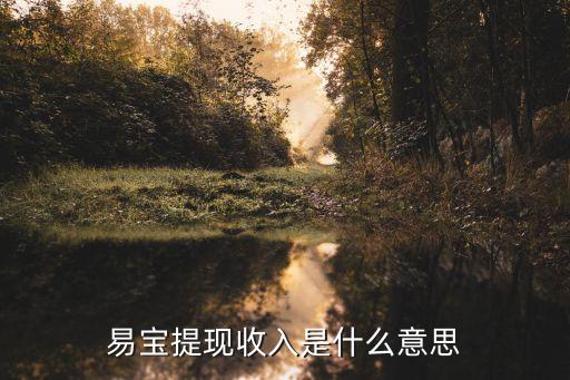 易寶提現收入是什么意思