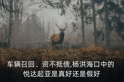 車(chē)輛召回、資不抵債,楊洪?？谥械?悅達(dá)起亞是真好還是假好